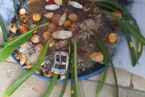 294732517_147617827876493_5255015706672761125_n