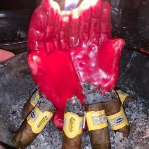 327562552_1567201533703312_2350426704258643532_n